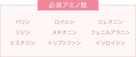 必須アミノ酸 バリン リジン ヒスチジン ロイシン メチオニン トリプトファン スレオニン フェニルアラニン イソロイシン