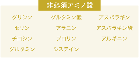 非必須アミノ酸 グリシン セリン チロシン グルタミン グルタミン酸 アラニン プロリン システイン アスパラギン アスパラギン酸 アルギニン